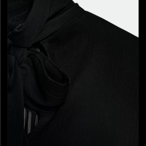 Zara limited edition SEMI-SHEER DRAPED
BALLOON SHIRT - Picture 10 of 10